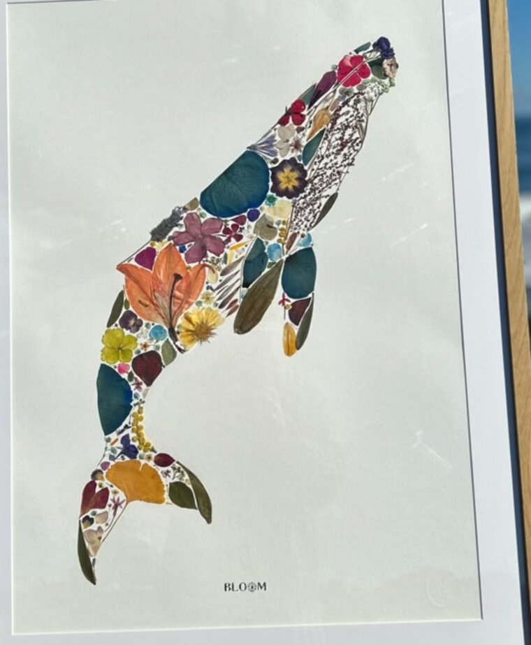 Cuadro de ballena con flores prensadas