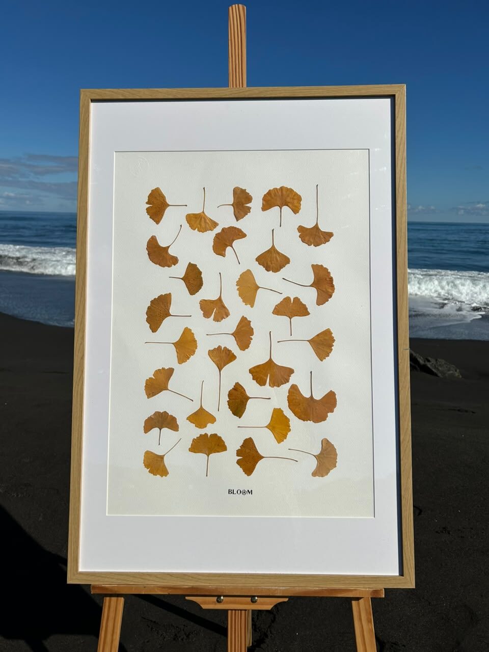 Cuadro con hojas de ginkgo doradas prensadas